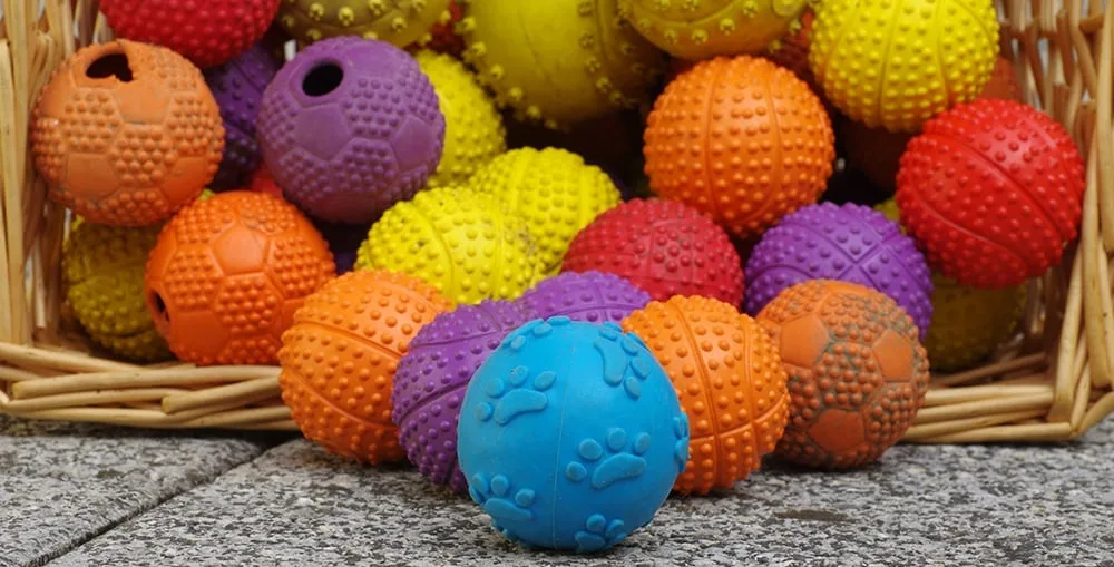 assortment of balls for dogs