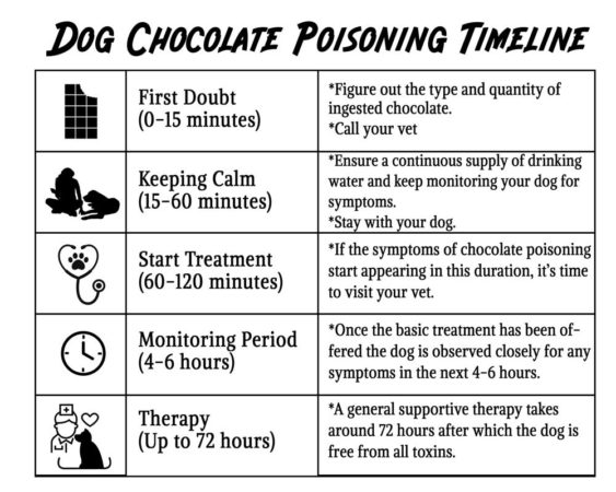Picture of Dog Chocolate Poisoning Timeline - PatchPuppy.com