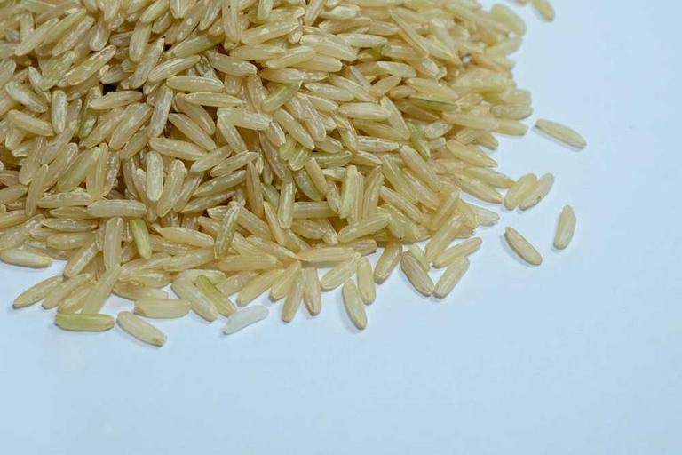 Brown Rice or White Rice for Dogs?