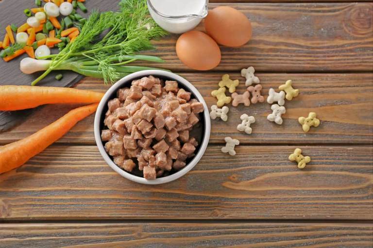 5 Fussy Dog Food Recipes