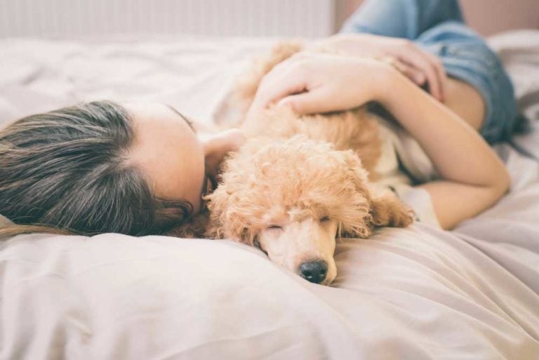 How to Let Your Puppy Sleep in your Bed The Safe Way