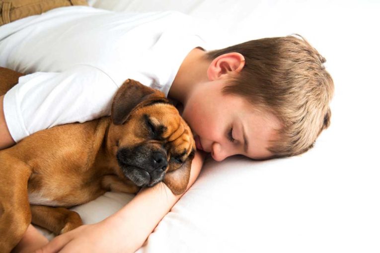 How to Let Your Puppy Sleep in your Bed The Safe Way