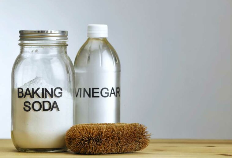 can-you-use-baking-soda-for-dog-pee-patchpuppy