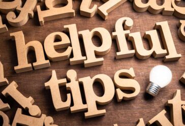 How to Train a Toy Poodle? - PatchPuppy.com