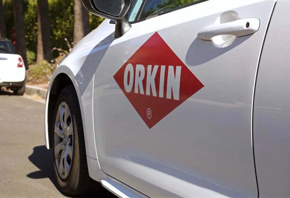 Close up of an Orkin truck