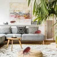 Living room setting with several oversized fleas resting on pieces of furniture