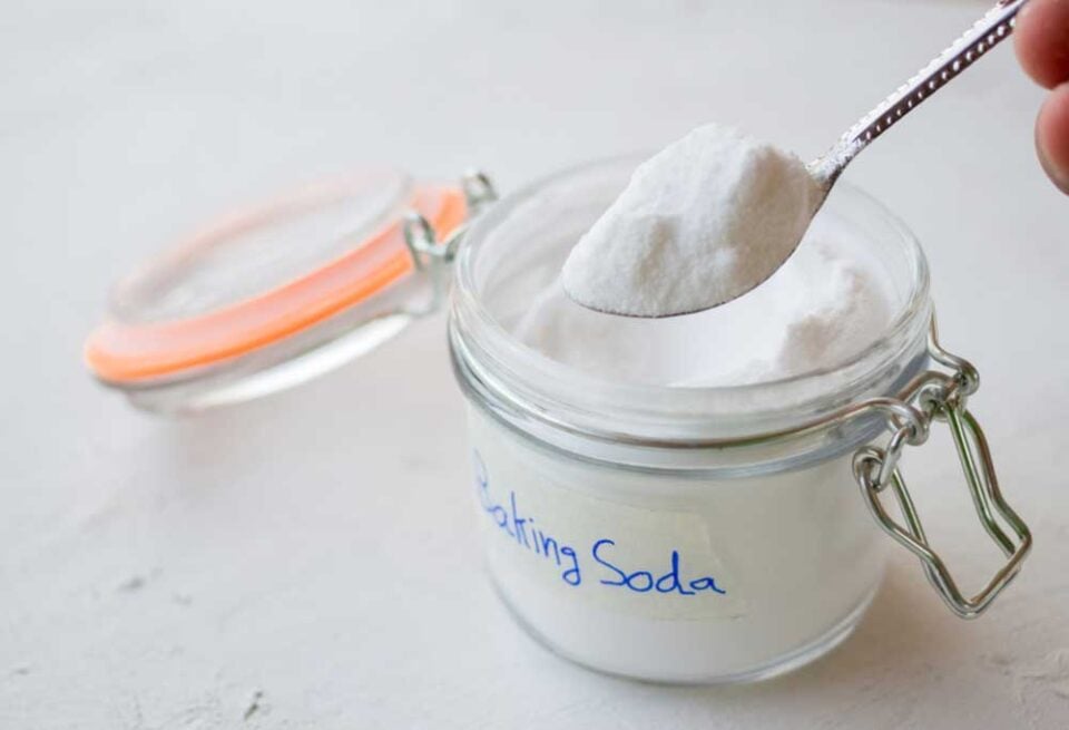 How to Get Rid of Fleas on Dogs with Baking Soda?