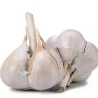 2 bulbs of garlic isolated on a white background