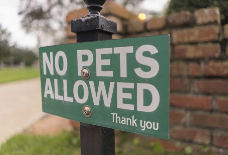 Will Fleas Go Away Without Pets?