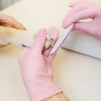 Pair of pink gloved hands filing a dogs nails
