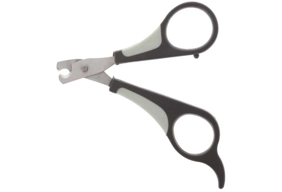 How & When to Cut Puppies' Nails for the First Time A Complete Guide