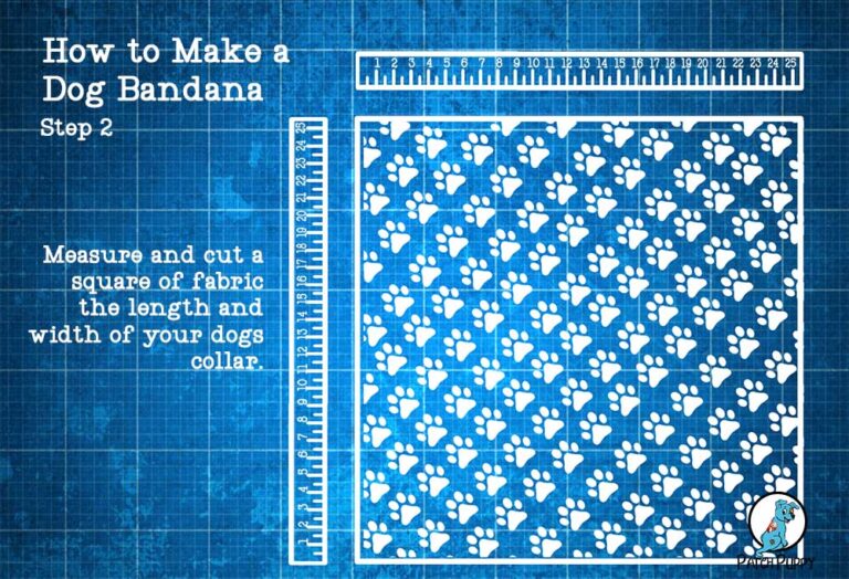 How to Make Dog Bandanas!