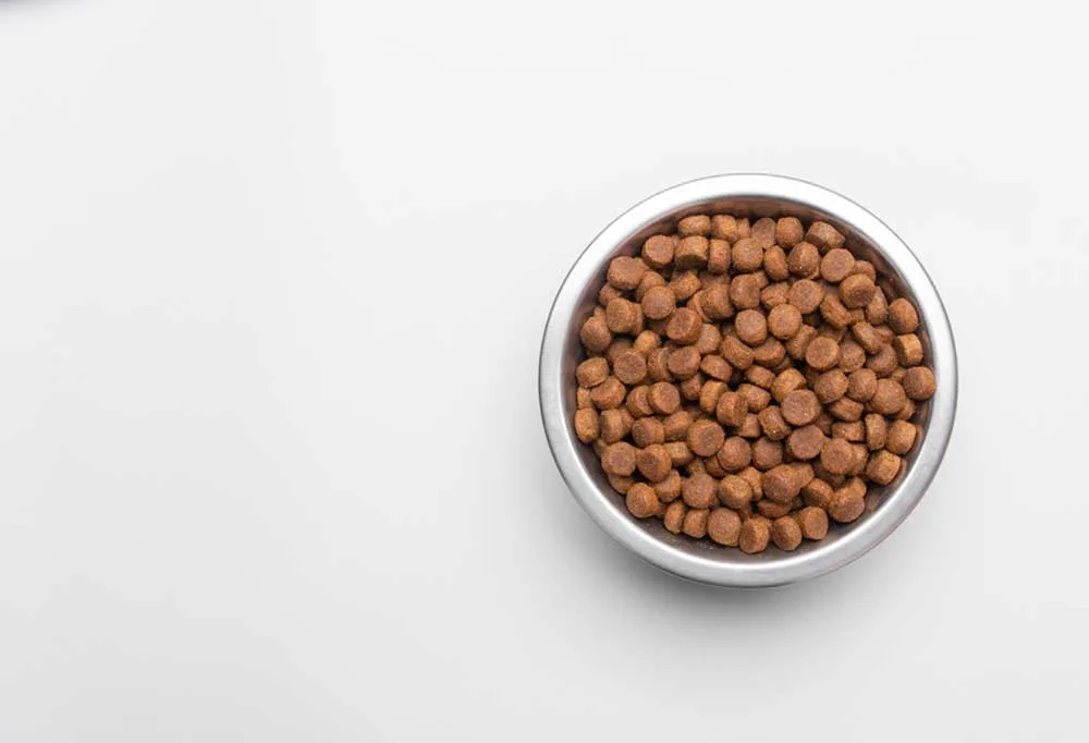 Overhead view of a bowl of dog food on a white background.